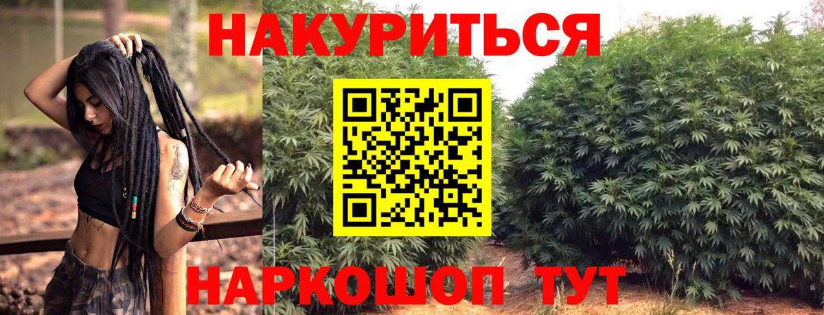 Конопля Amnesia  Шишки марихуана планчик  Дзержинск  Вход с VPN  Конопля тримм 